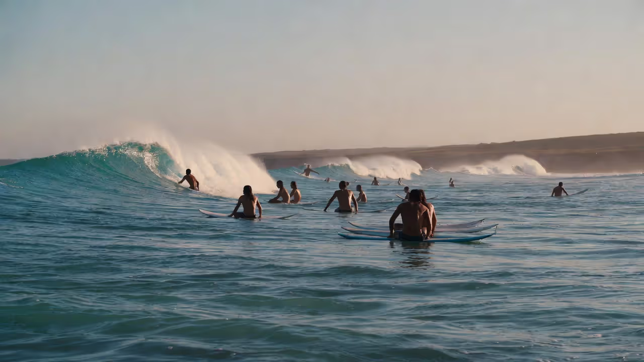 Rotation keeps the lineup fair