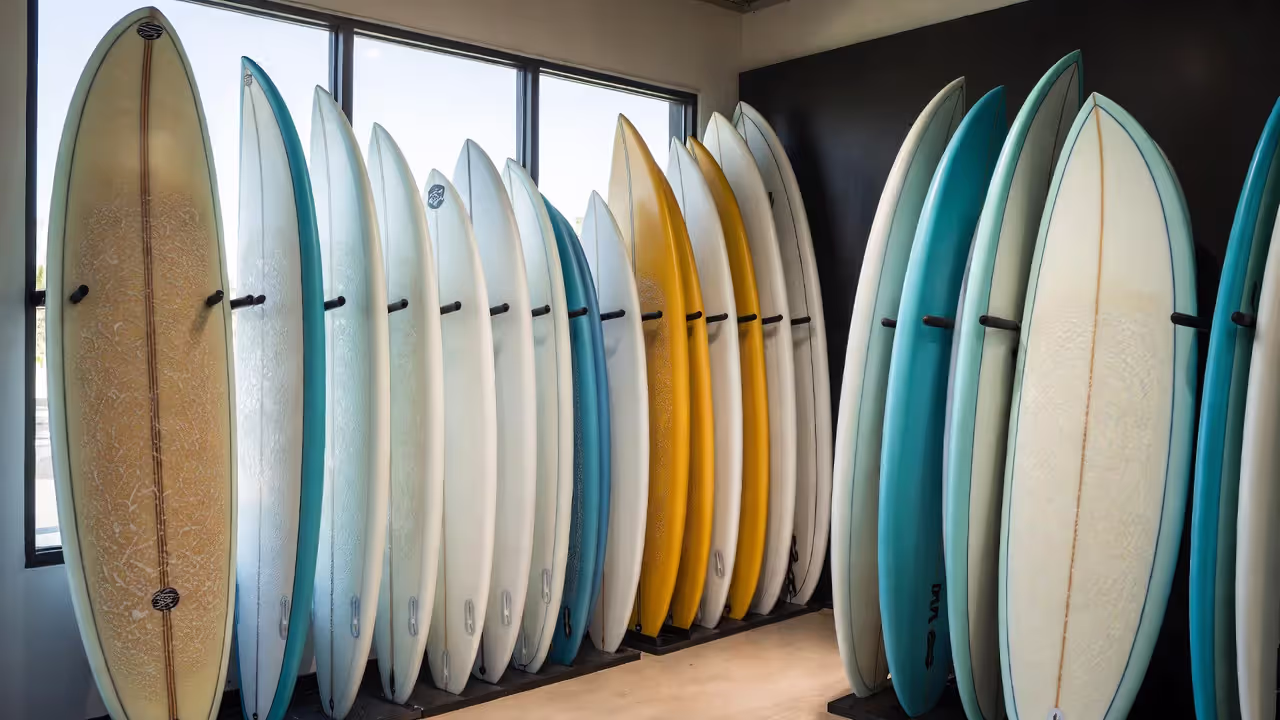 Longboards and shortboards differ dramatically in shape and size